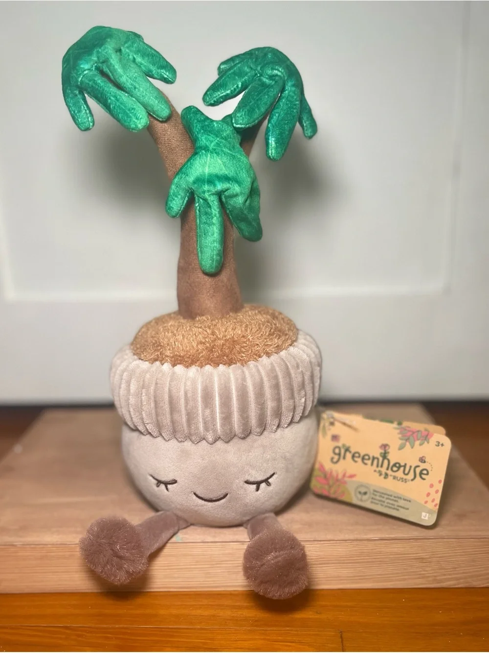 Greenhouse by Russ Money Tree Planter - Soft Green and Brown Cozy Décor